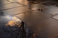 Broken reflection