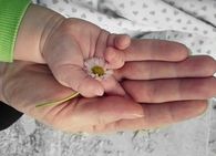 Flower in hand