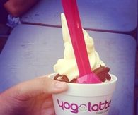 Yogolatte