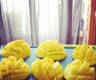 Mango hedgehogs 