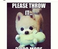 Please throw it 3000 more times