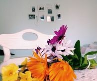 Spring flowers