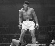 The Greatest Boxer ever (Ali)