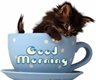 Good Morning