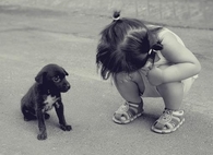 Baby Girl And Puppy