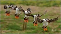 Awesome Synchronized Landing!!