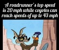 My whole childhood was a lie
