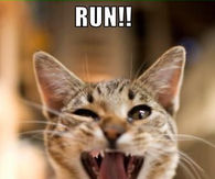 Run Mondays Coming