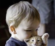 Boy Kissing Kitten