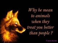 why be mean to animals