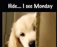 Hide I See Monday