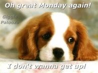 Oh great Monday again
