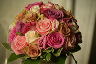 Bouquet of Roses