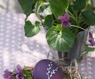 Pretty Easter Egg 