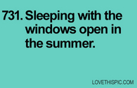 731-windows-open