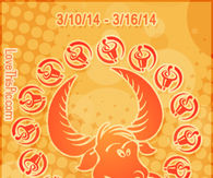TAURUS WEEKLY HOROSCOPE 3/10/14 - 3/16/14