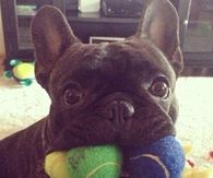 What Balls