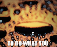 to do, to like