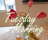 Tuesday Morning
