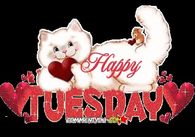 Happy Tuesday