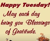 Happy Tuesday