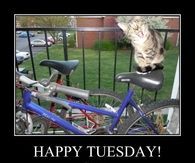Happy Tuesday