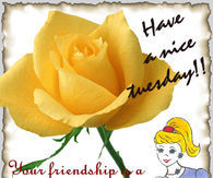 Have a nice tuesday