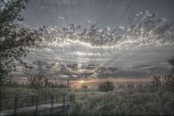 Rays of sunlight