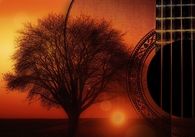 Guitar by morning light
