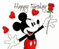 Happy Tuesday