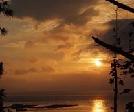 Morning joy