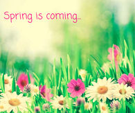 Spring is coming
