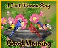 Good Morning Have a Great Day