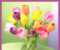 Happy Spring