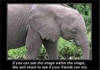 The image within the image