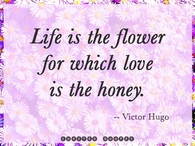 Short Love quote
