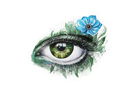 Eye