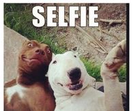 SELFIE