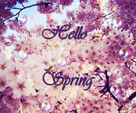 Hello Spring