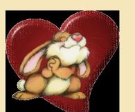 Bunny Love