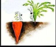 Success is not always what you see