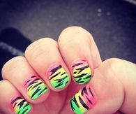 Zebra bright neon nails