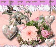 Pretty Animated Spring