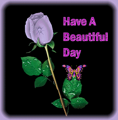 Have a beautiful Day
