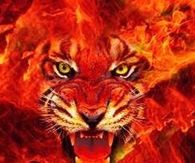 Fire Cat