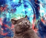 Space CAt