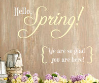 Hello Spring