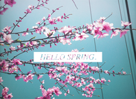 Hello Spring