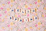 Hello Spring