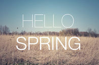 Hello Spring